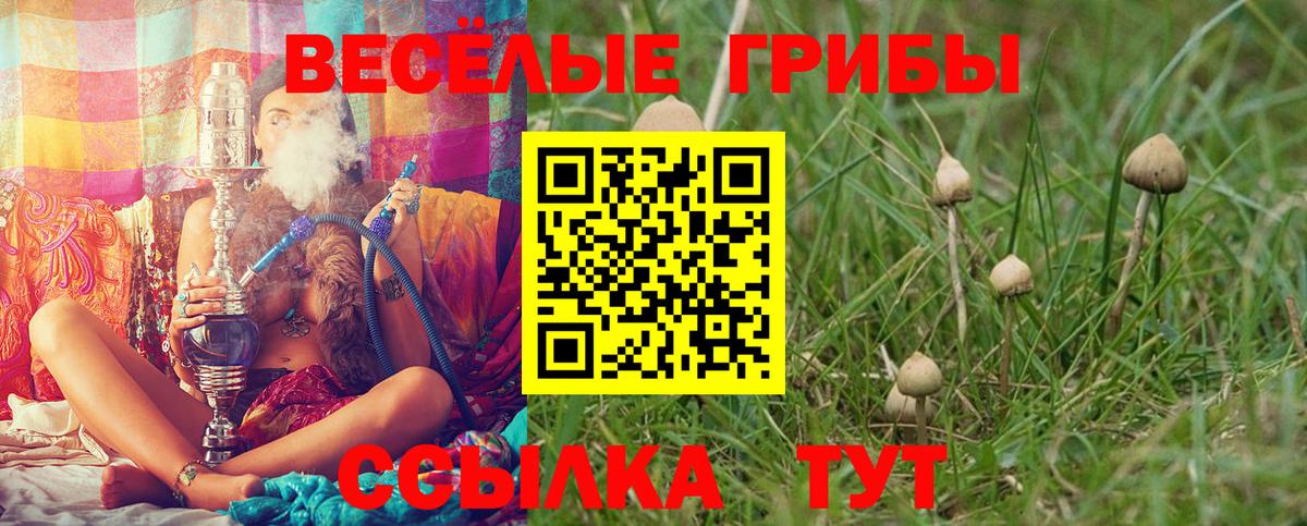 APVP Торжок