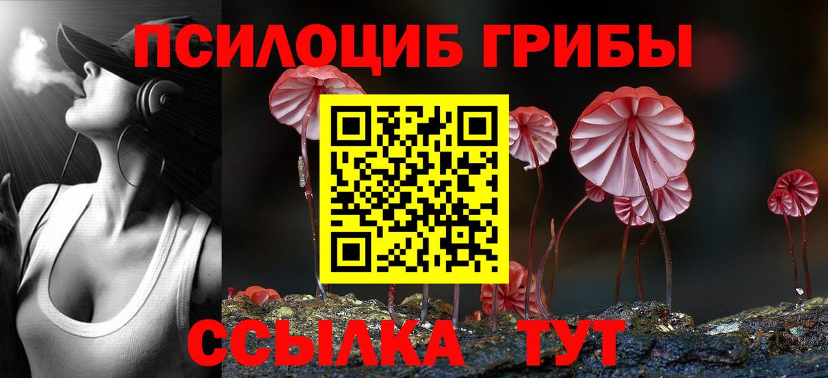 наркота  Псилоцибиновые грибы Psilocybe  Вход с VPN  Торжок 